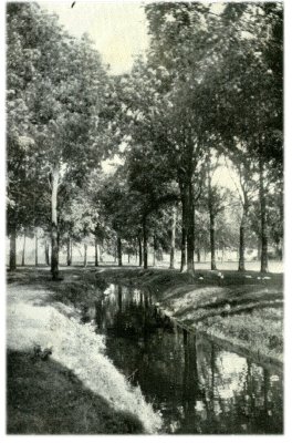 Klik voor de volgende foto