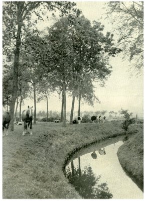 Klik voor de volgende foto