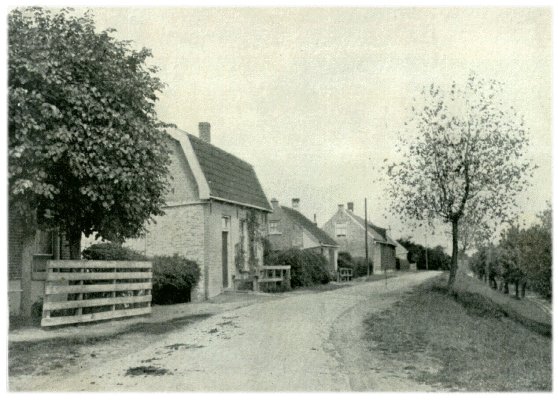 Klik voor de volgende foto