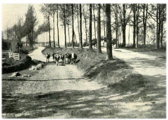 Klik voor de volgende foto