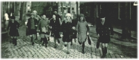 oz310166.jpg