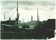 oz310221.jpg