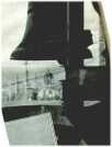 oz310304.jpg