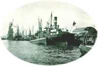 oz310435.jpg