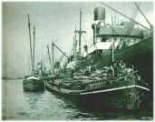 oz310438.jpg