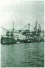 oz310439.jpg