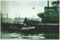 oz310440.jpg