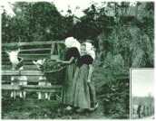 oz310461.jpg
