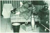 oz310527.jpg