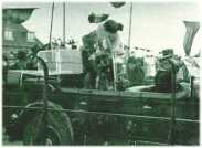 oz310653.jpg