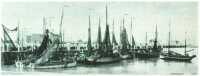 oz310859.jpg