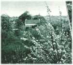 oz311004.jpg