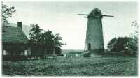 oz311355.jpg