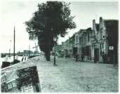 oz311408.jpg