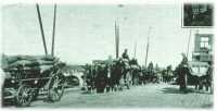 oz311414.jpg