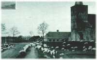 oz311415.jpg