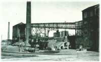 oz311457.jpg