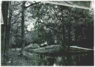 oz311506.jpg