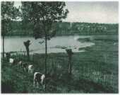 oz311520.jpg