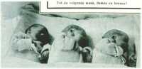 oz311552.jpg