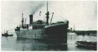 oz311660.jpg