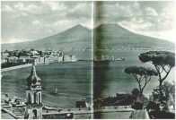 oz311727.jpg