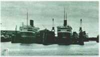 oz311735.jpg
