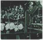 oz311755.jpg