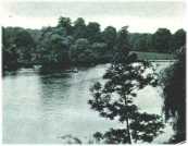 oz311825.jpg