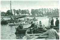 oz311849.jpg