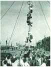 oz311854.jpg