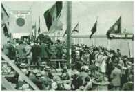 oz311867.jpg