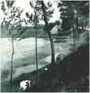 oz311901.jpg