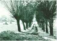 oz311922.jpg
