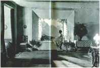 oz311923.jpg