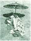 oz311933.jpg