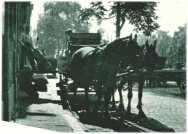 oz311938.jpg