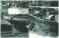 oz311939.jpg
