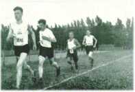 oz311942.jpg