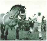 oz311949.jpg