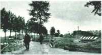 oz311958.jpg