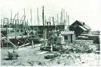oz311959.jpg