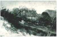 oz312164.jpg