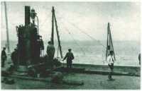 oz312165.jpg