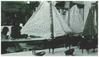 oz312245.jpg