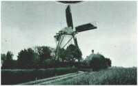 oz312314.jpg