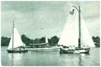 oz312323.jpg
