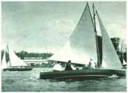 oz312324.jpg