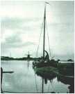 oz312326.jpg