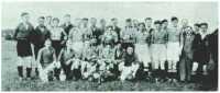oz312338.jpg